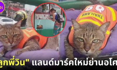 เหมียว "วิน" ลูกพี่วินมอเตอร์ไซค์หน้าตลาดอโศกกลายเป็นแลนด์มาร์คแห่งใหม่ในกรุงเทพฯ