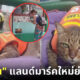 เหมียว "วิน" ลูกพี่วินมอเตอร์ไซค์หน้าตลาดอโศกกลายเป็นแลนด์มาร์คแห่งใหม่ในกรุงเทพฯ