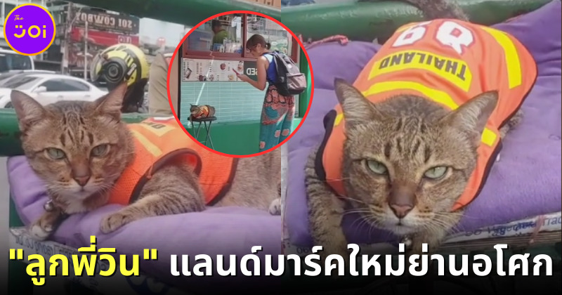 เหมียว "วิน" ลูกพี่วินมอเตอร์ไซค์หน้าตลาดอโศกกลายเป็นแลนด์มาร์คแห่งใหม่ในกรุงเทพฯ