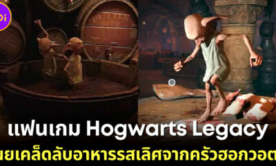 แฟน "Hogwarts Legacy" เผยภาพเอลฟ์ในห้องครัวโรงเรียนฮอกวอตส์ขณะทำอาหาร ที่อร่อยถูกใจแต่อนามัยเป็นศูนย์!