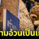 น้องแมวร้องขอความช่วยเหลือหลังติดอยู่บนต้นไม้ เพราะ "ความอ้วน"
