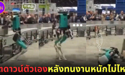 1หุ่นยนต์ชัตดาวน์ตัวเองหลังทนงานหนักไม่ไหว