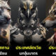 74 ภาพเมื่อ AI เปลี่ยนสัตวืประจำชาติแต่ละประเทLให้กลายเป็นซูเปอร์ฮีโร่ 2