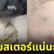หนูแฮมสเตอร์ชอบทำหน้าตาน่าเกลียด