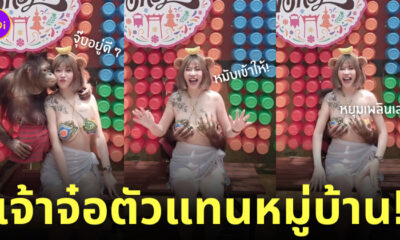 ลิงจับหน้าอกผู้หญิง สาวไต้หวัน