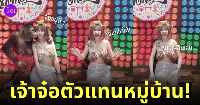 ลิงจับหน้าอกผู้หญิง สาวไต้หวัน