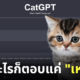 เว็บไซต์ catgpt คุยกับแมว เหมียว