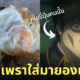 Fleem Template The Joi FBWebsite 9 1