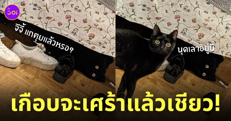 นึกว่ากระดุมเป็นแมวดำ