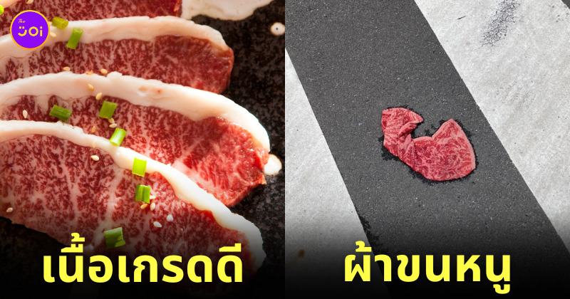 เนื้อวัววากิวเกรดดี ผ้าขนหนู ญี่ปุ่น