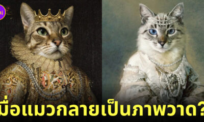 ผลงานภาพวาดคลาสสิก รูปน้องแมว ตัดต่อ