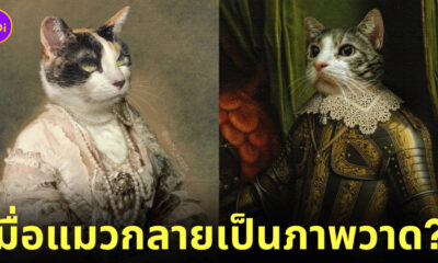 ผลงานภาพวาดคลาสสิก รูปน้องแมว ตัดต่อ