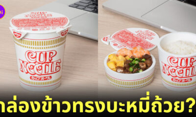กล่องข้าวบะหมี่ถ้วย ปิ่นโต นิสชิน ญี่ปุ่น Nissin Japan