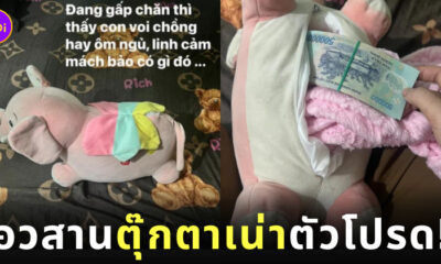 สามีซุกเงินภรรยาในตุ๊กตาเน่า เวียดนาม