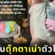 สามีซุกเงินภรรยาในตุ๊กตาเน่า เวียดนาม