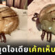 เค้กเห็บหมา เค้ก HẸP-Mar ร้านเวทย์มนต์