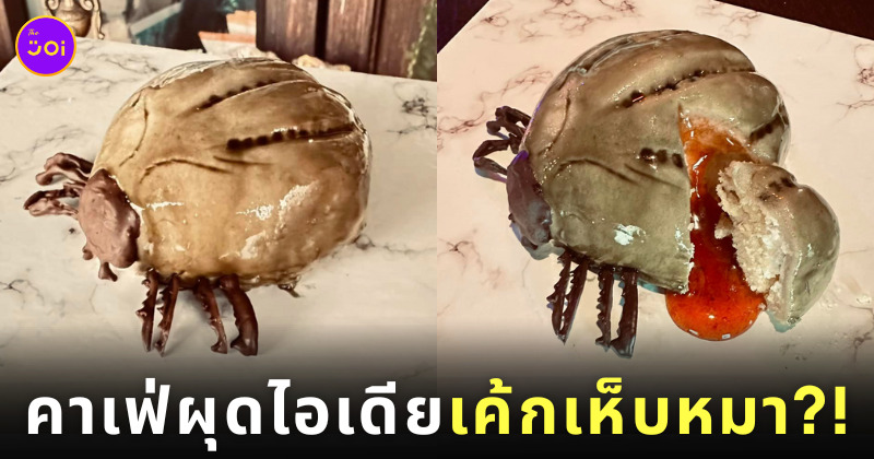 เค้กเห็บหมา เค้ก HẸP-Mar ร้านเวทย์มนต์