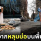 ภาพถ่าย ผลงานศิลปะ หลุมบ่อบนพื้นถนน
