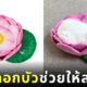 เบาะดอกบัว น้องแมว ญี่ปุ่น felissimo nekobu