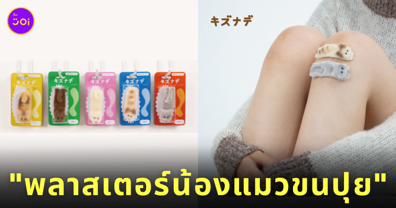 พลาสเตอร์น้องแมวขนปุย พลาสเตอร์ขนปุย