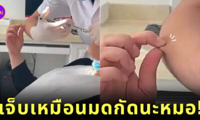คนกลัวเข็ม หยิกแขนหมอ