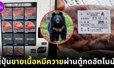 ญี่ปุ่นขายเนื้อหมีควายผ่านตู้กดอัตโนมัติ