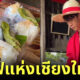 ลูฟี่แห่งเชียงใหม่ ขายข้าวมันกะทิสด