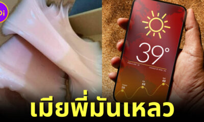 ปก หนุ่มแชร์ภาพสั่งเซ็กส์ทอยออนไลน์กลับได้เมียเหลวแทน (1)