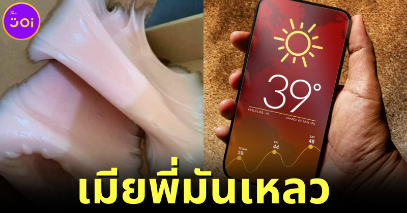 ปก หนุ่มแชร์ภาพสั่งเซ็กส์ทอยออนไลน์กลับได้เมียเหลวแทน (1)