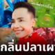 สบู่พี่ดำปลาเผา ทอมโสด
