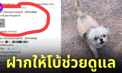 หมาเซ็นรับพัสดุแทนเจ้าของ