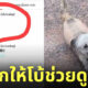 หมาเซ็นรับพัสดุแทนเจ้าของ