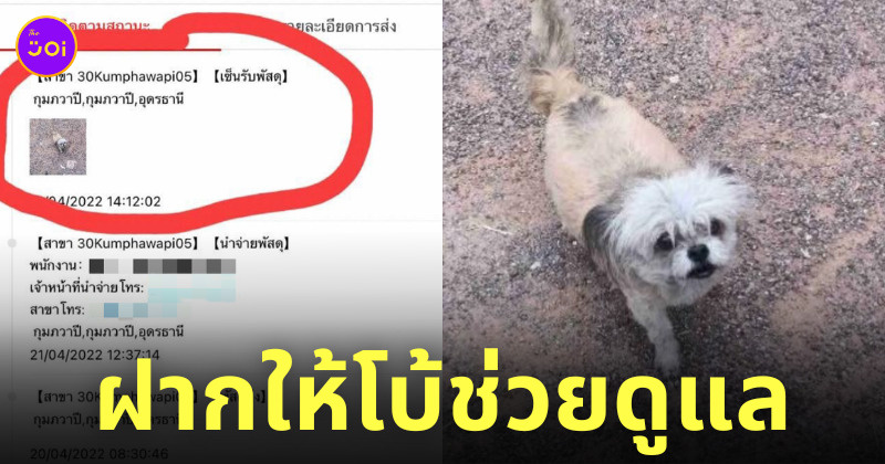 หมาเซ็นรับพัสดุแทนเจ้าของ