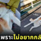 สุนัขสายพันธุ์อาคิตะ ไรคุง ไม่ยอมกลับบ้าน
