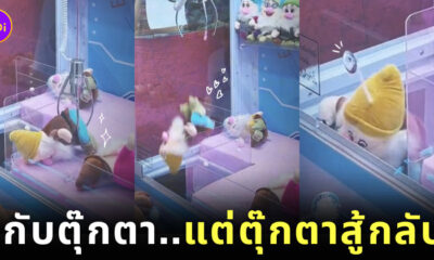ตุ๊กตาคนแคระ ติดตู้คีบตุ๊กตา