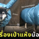 น้องหมาชิบะ ไอเทม ชุดเครื่องเป่าแห้ง