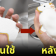 ฟองน้ำรูปแพะ ฟองน้ำรูปแกะ ล้างจาน