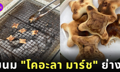 ขนมโคอะลามาร์ชย่าง