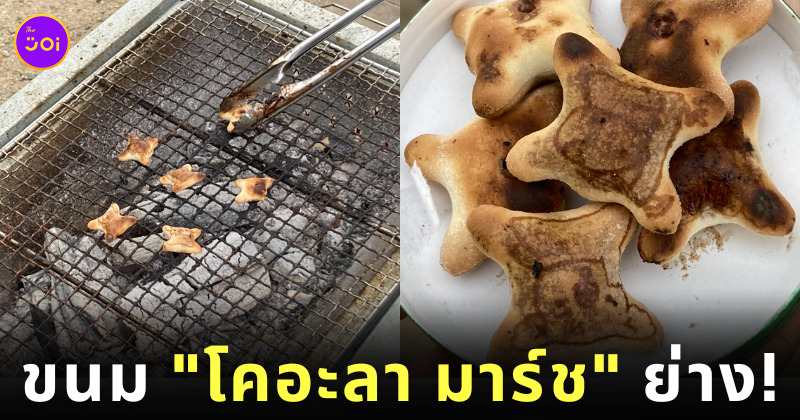 ขนมโคอะลามาร์ชย่าง