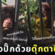 ลาบราดอร์คลั่งรักหมาปั๊กข้างบ้าน เดินคาบตุ๊กตาปิกาจูมาจีบข้างรั้วทุกวัน