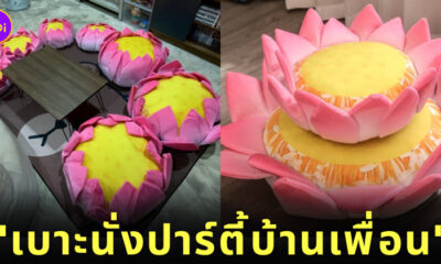 เบาะนั่งปาร์ตี้บ้านเพื่อน เบาะดอกบัว เพจขาย