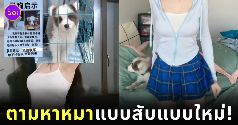 สาวจีน โชว์คลิปหุ่นแซ่บ เซ็กซี่ ตามหาหมาหาย