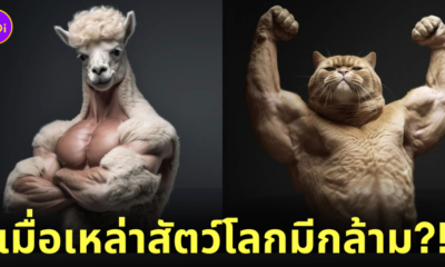 ภาพสัตว์โลก มีกล้าม ดุดันไม่เกรงใจใคร AI