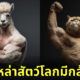 ภาพสัตว์โลก มีกล้าม ดุดันไม่เกรงใจใคร AI