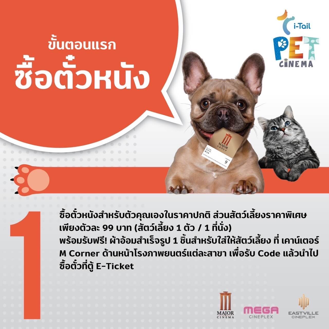 ขั้นตอนพาสัตว์เลี้ยงดูหนัง ๅ