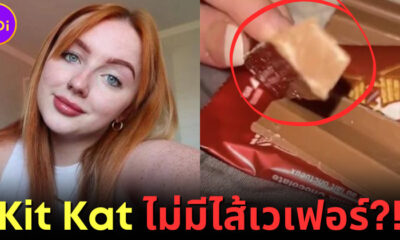 ปก Kit Kat ไม่มีไส้เวเฟอร์!