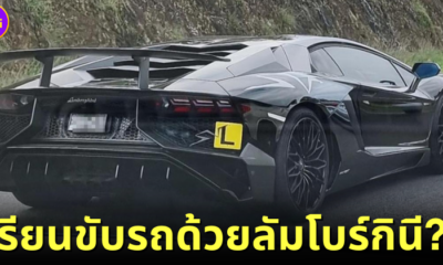 ปก มือใหม่หัดขับรถ ออสเตรเลีย lamborghini
