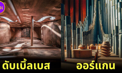 ปก เผย 21 ภาพภายในเครื่องดนตรีที่สวยงามราวกับสถาปัตยกรรม
