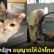 ปก เรือนจำเพนเดิลตันให้นักโทษเลี้ยงแมวรักษาสุขภาพจิตและพัฒนาตัวเอง