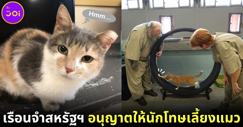 ปก เรือนจำเพนเดิลตันให้นักโทษเลี้ยงแมวรักษาสุขภาพจิตและพัฒนาตัวเอง